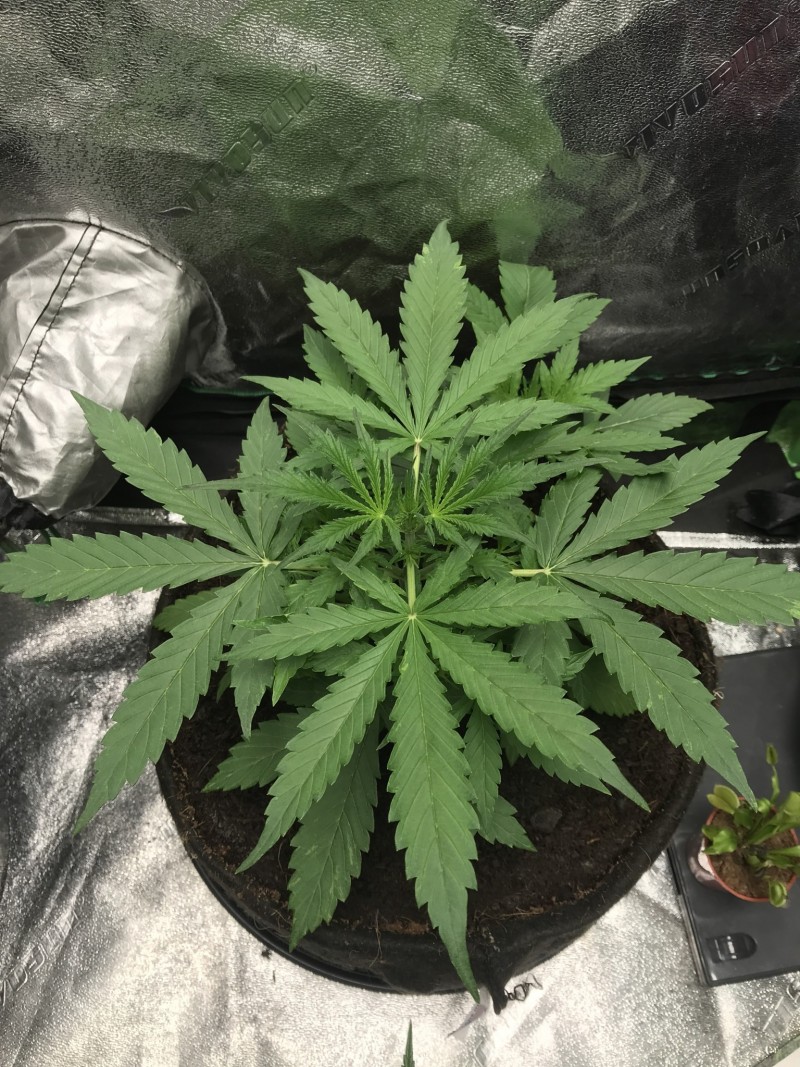 0AB847E7-9195-4EBC-926A-BEA3B2C9D826