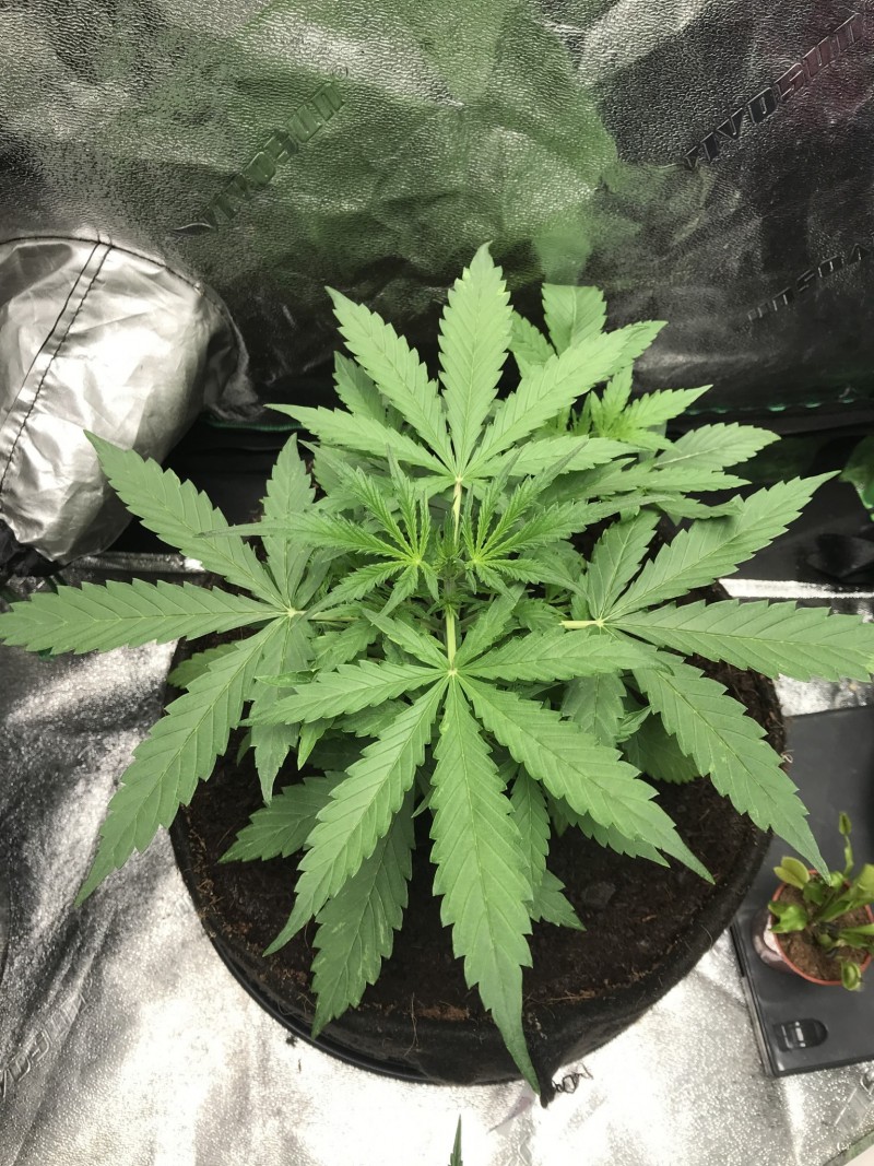 C503CB95-D091-4381-8AC1-82CB32B3F02B