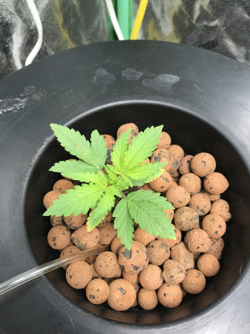 0038D21B-6366-4D22-96FB-6E408E672A6D