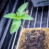 E3A335F9-2A02-42EA-BE80-77584E03410C