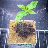 4680CAD8-05E1-44A0-983D-9E7891ADD4F7