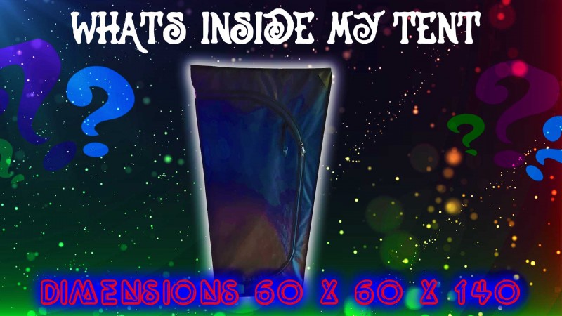 mn whats inside my tent