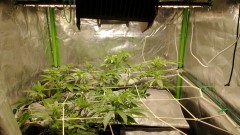 IMG_20211017_080324402