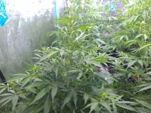 20211015_223914_compress88