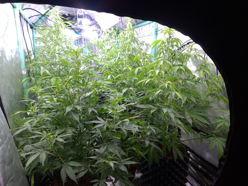 20211015_223906_compress91