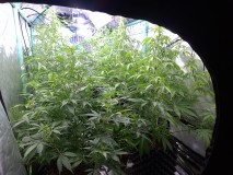 20211015_223906_compress91