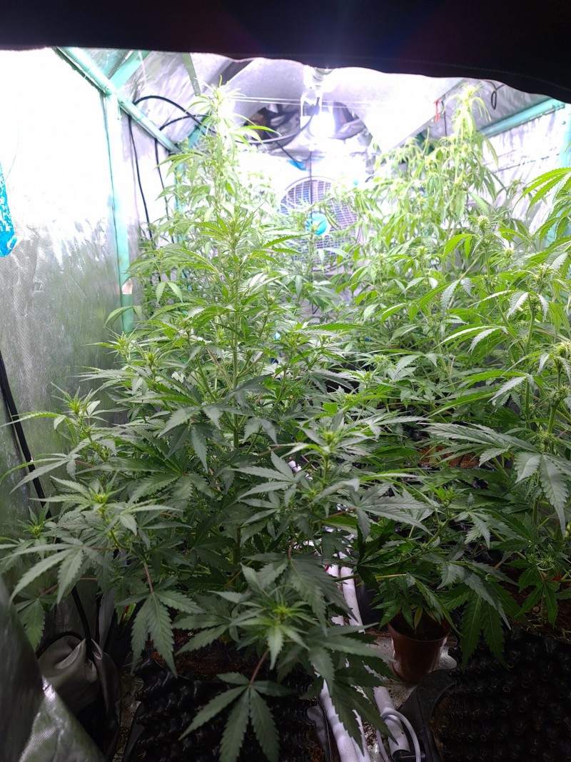 20211015_223901_compress55