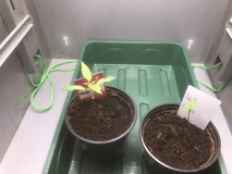 5D99127E-5AD0-40ED-A355-D61E226BD6D7