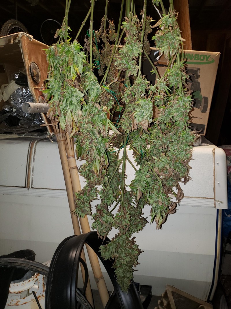 16345878489477234730005669300801