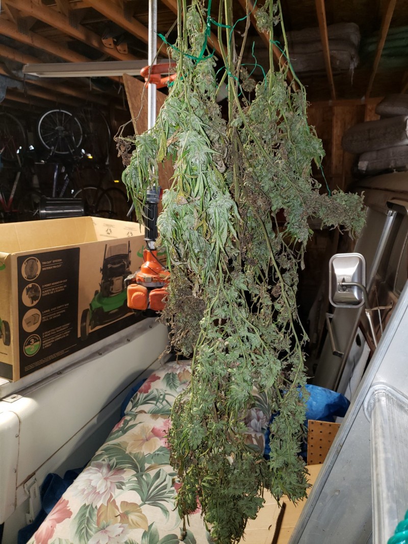 16345880399834579453439463885420