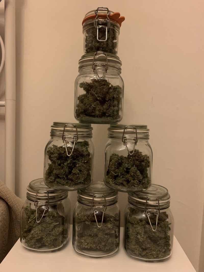 Cassandra in her jars