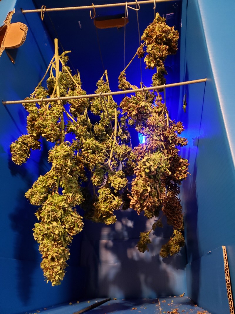 16346133592665038849032335543184