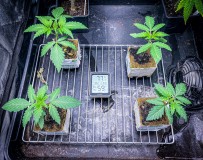 AEC9571C-B0C8-43BF-811E-D85278B1C3E9