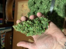 5512F017-FE31-4BB8-932E-E1544FCAACA5