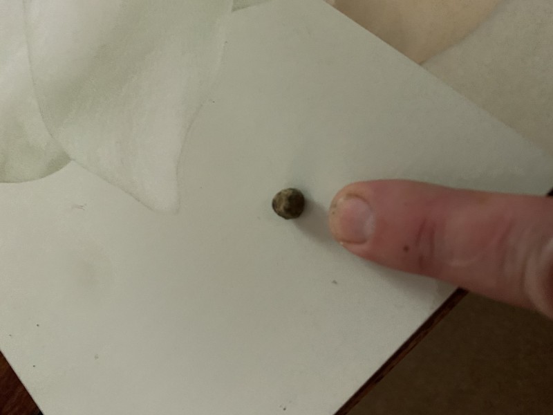 032F1E2C-0918-4EB5-B0BD-B2FD156D9CB0