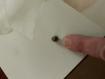 032F1E2C-0918-4EB5-B0BD-B2FD156D9CB0