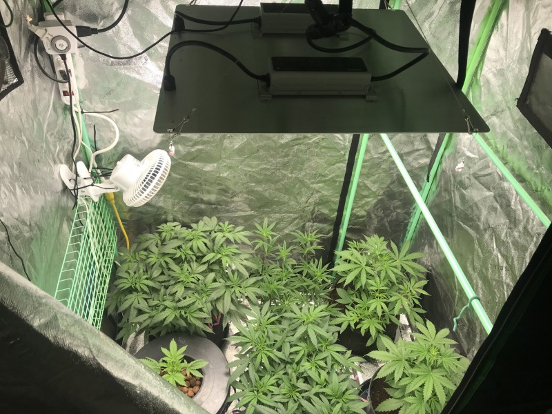 D86DDCF9-B95F-494C-B4EF-968E3D17A28E