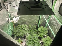 D86DDCF9-B95F-494C-B4EF-968E3D17A28E