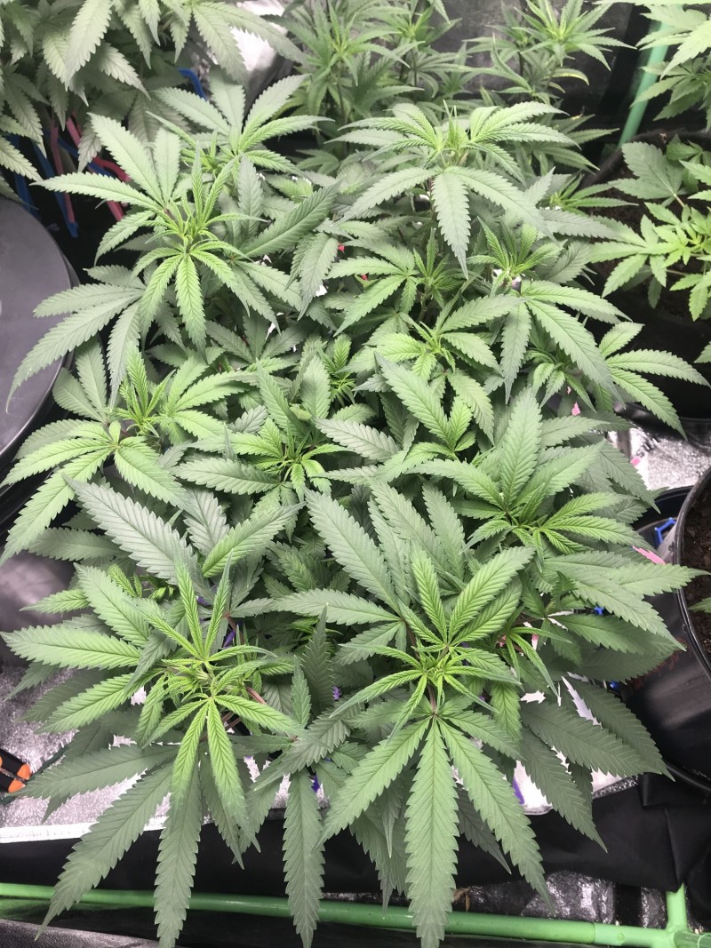 1A11C7DC-EA06-40F1-832E-8B1B5D40CAFF