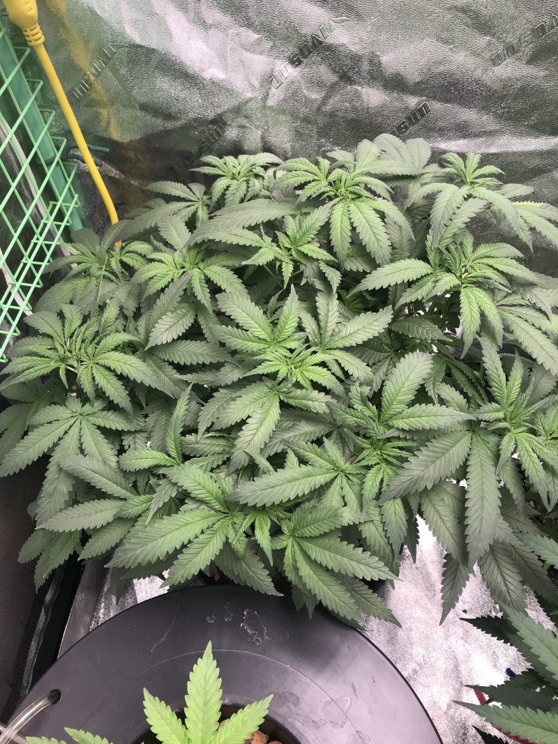 200A9F90-1A3A-44E1-A652-5C77FE3C8750