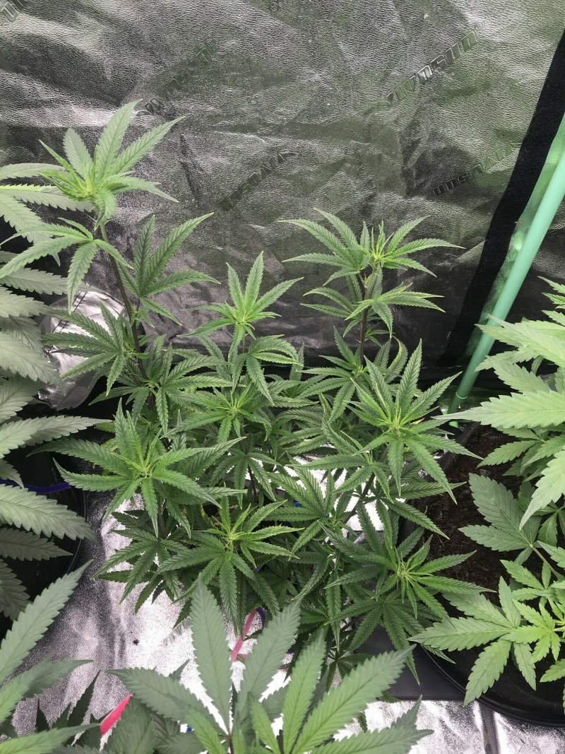 F502B58F-1D72-4D0E-B517-3BBC7A3D7865