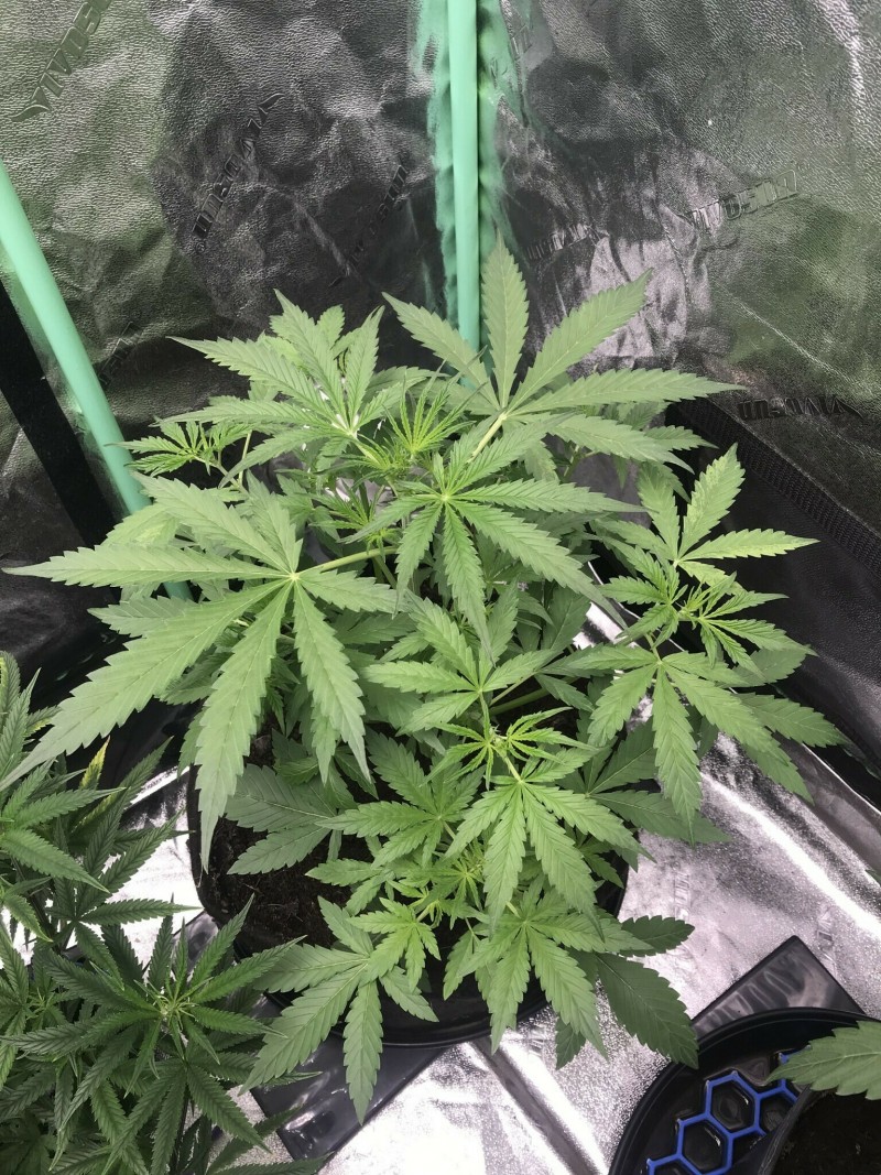 15B1162F-94D5-46C7-8547-1B66DCB5969A