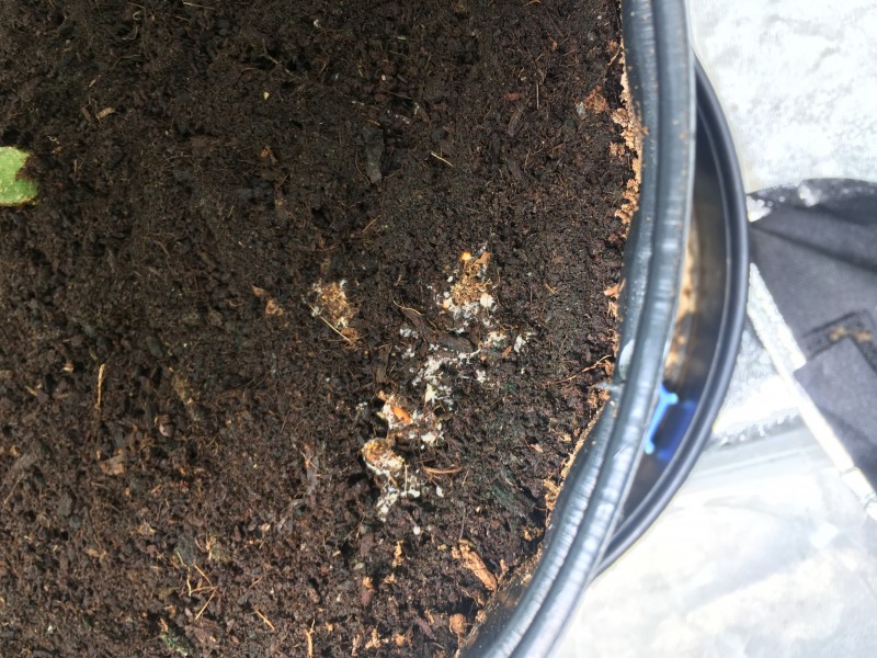 16E3E3E9-225F-4DAA-8E00-3AD254FD83C3