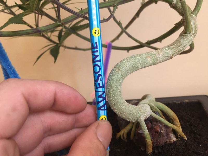 D3B7BEC7-71B4-4902-B10B-5A6BC6AA4076