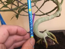 D3B7BEC7-71B4-4902-B10B-5A6BC6AA4076