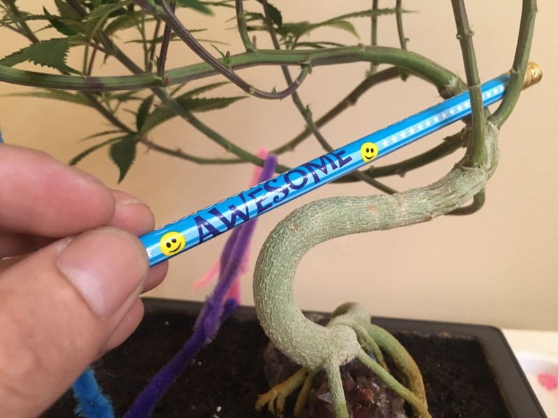 362AEE1B-97D3-4A05-AFB8-6A2DFB5F42C4