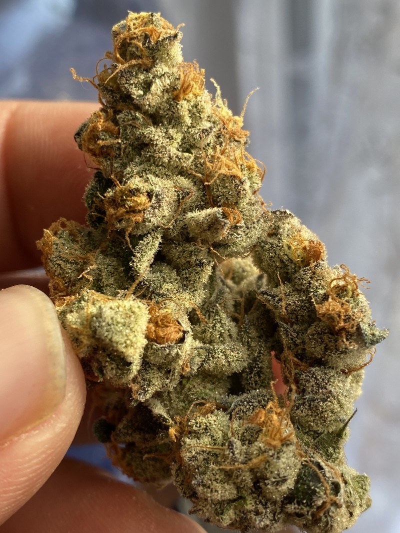 9373E493-965A-45DA-954E-58B3BD981F26