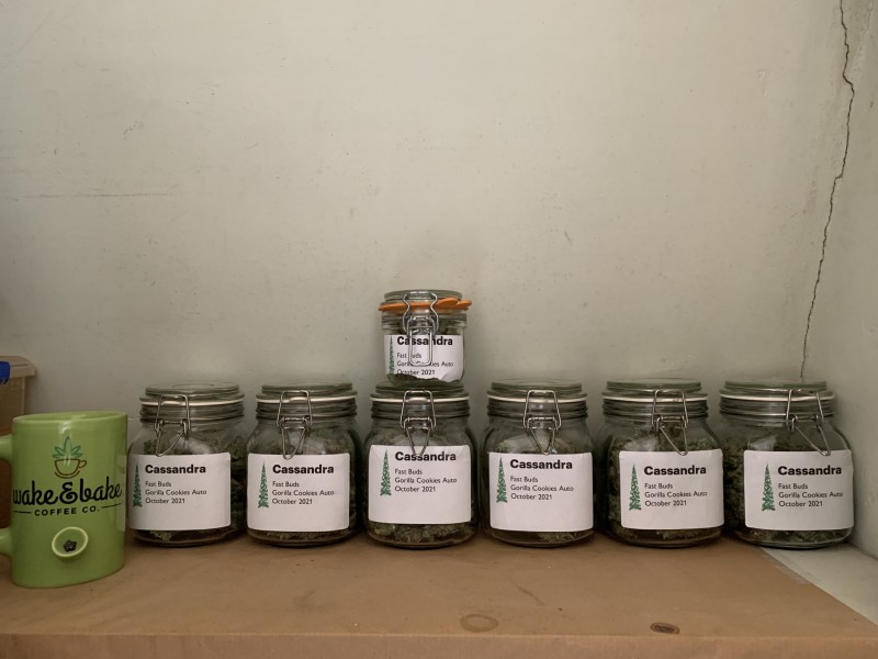 Cassandra away to cure!