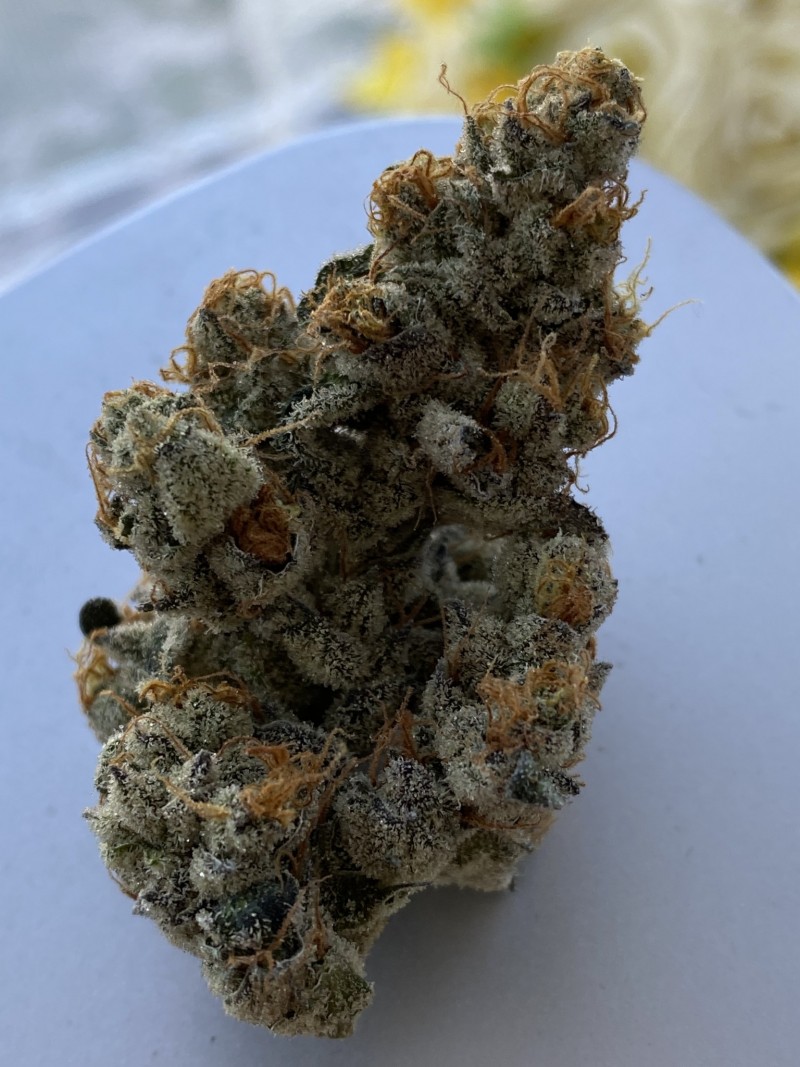 3980C735-A204-4E09-9761-7BF8F3D27242