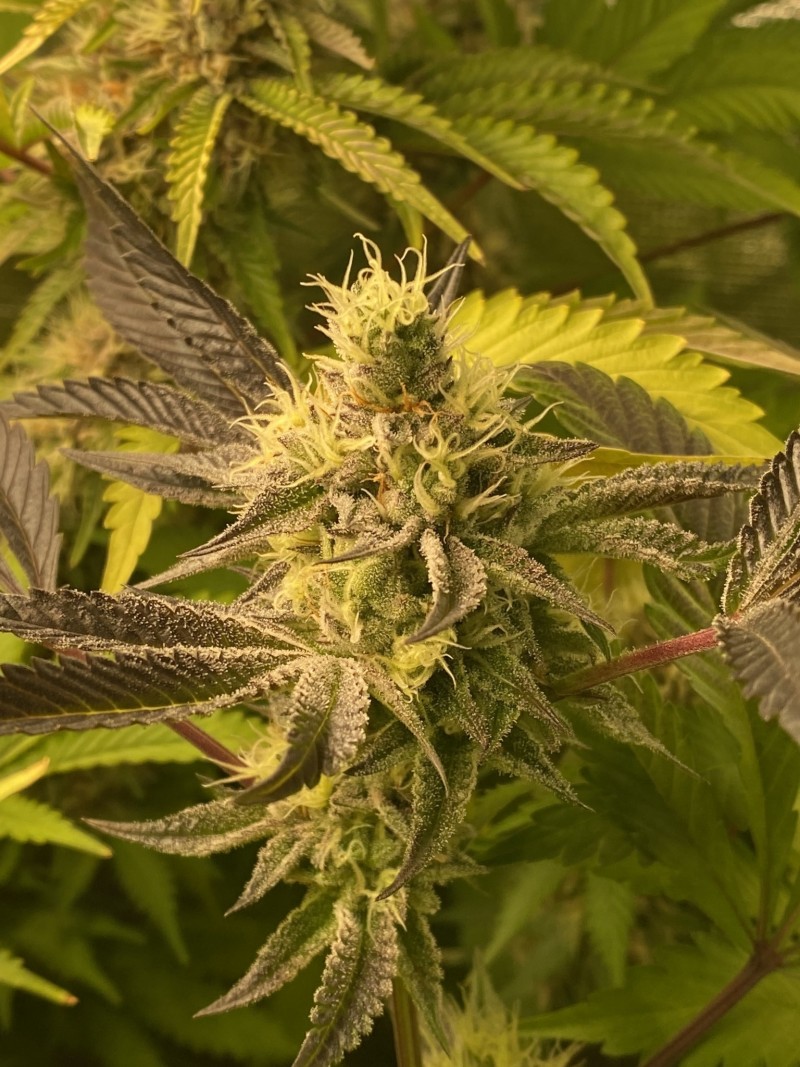 7E0E74DE-18CE-4B28-B370-AC2636042A8F