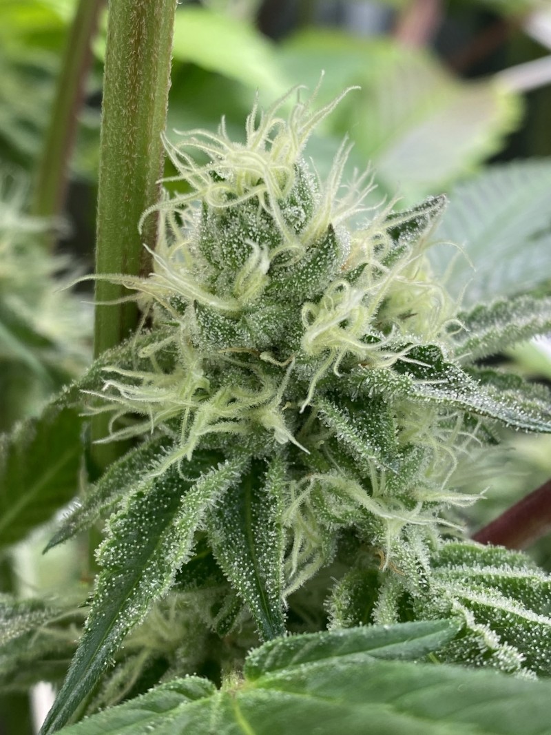 18CE4E77-FBCD-495D-8325-E89E005595D7