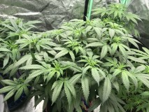 7F5685DE-8FEE-472C-B51F-A0EE2440A3ED