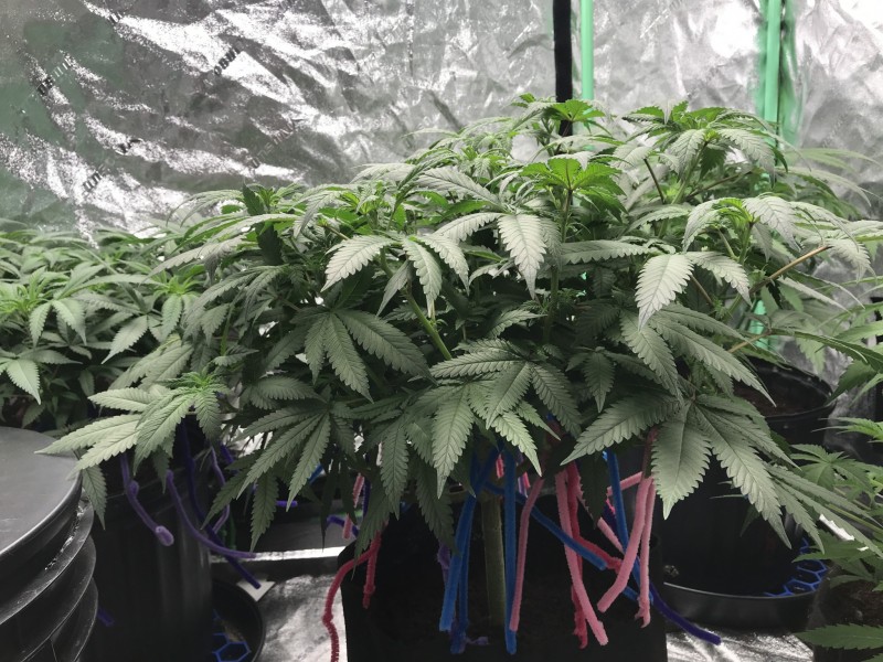 86BD0651-8370-4730-B46C-0EB33A32A0D6