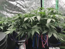 86BD0651-8370-4730-B46C-0EB33A32A0D6