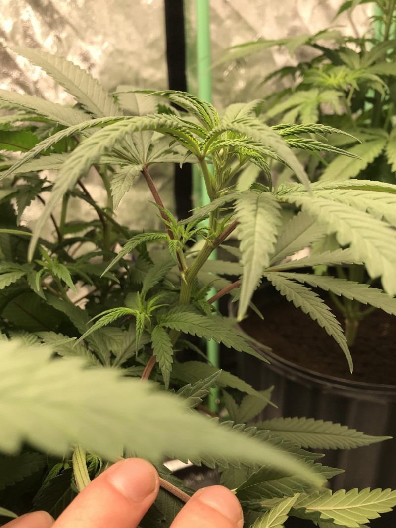 AD36C0ED-ECBB-4E12-8290-134F7644790A