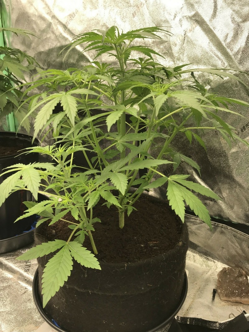 F5607403-B6C1-48F7-B33B-AC0F1EE9C48A