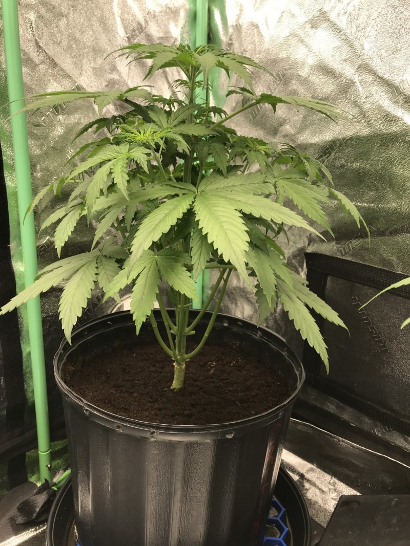 376A6AAA-A088-4812-8E75-E310A5875077