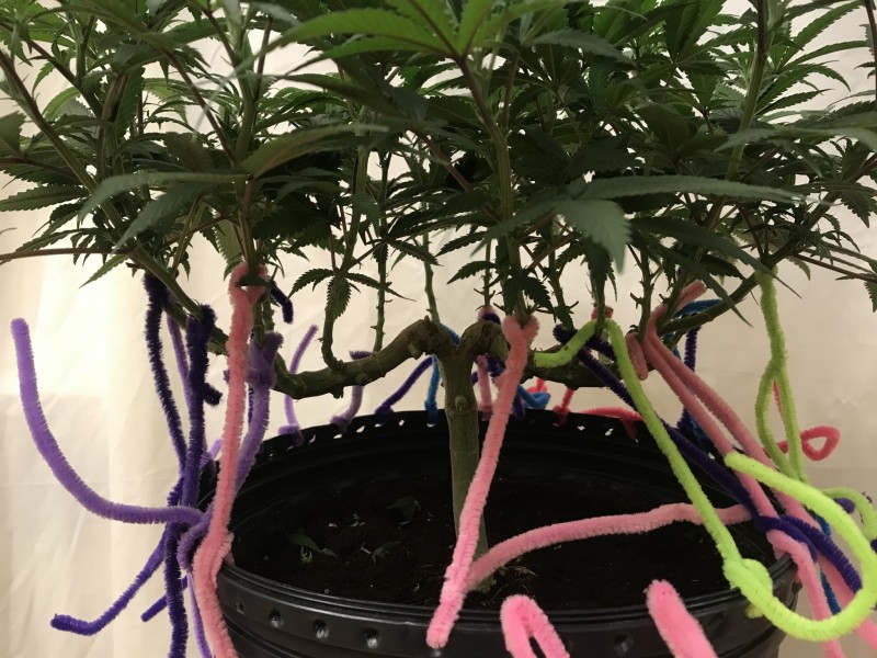 641A9AF0-0616-4E27-9EDE-AB7A37E1BA18