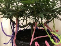 641A9AF0-0616-4E27-9EDE-AB7A37E1BA18