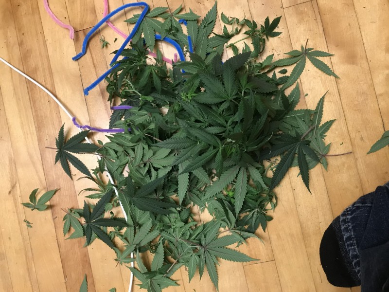 98DC142F-D639-46BC-B17A-EB4E62D460AF