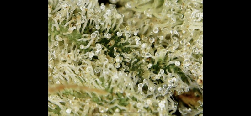 0EA9A3BD-AFDE-4295-9169-CB212AFADBC8