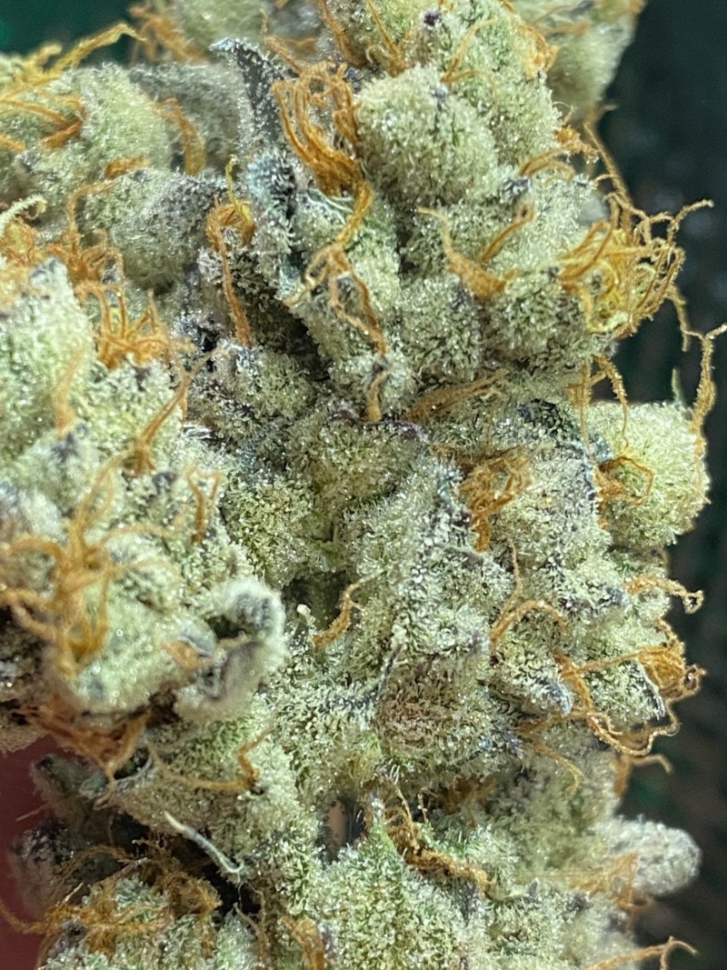 B92DD433-A37B-4B15-ADA1-394F13387652