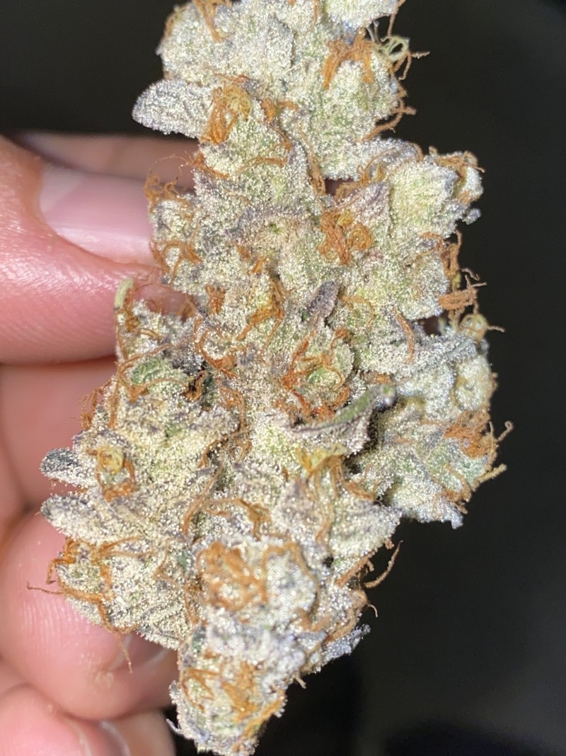 2FB5A1D3-3EA5-495A-9734-A1F6CAEE6F50