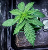 BF3CC1AE-A74B-447C-93FE-F30C464EC837