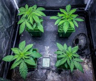 CE9B7344-90F1-4053-98BA-DC601F048840