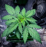 389C81D9-A65E-4CD7-A3BB-98C1A5B9A468